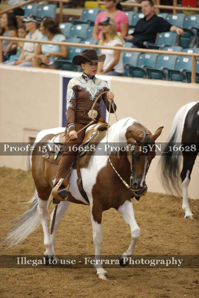 Proof Number 15YN_16628