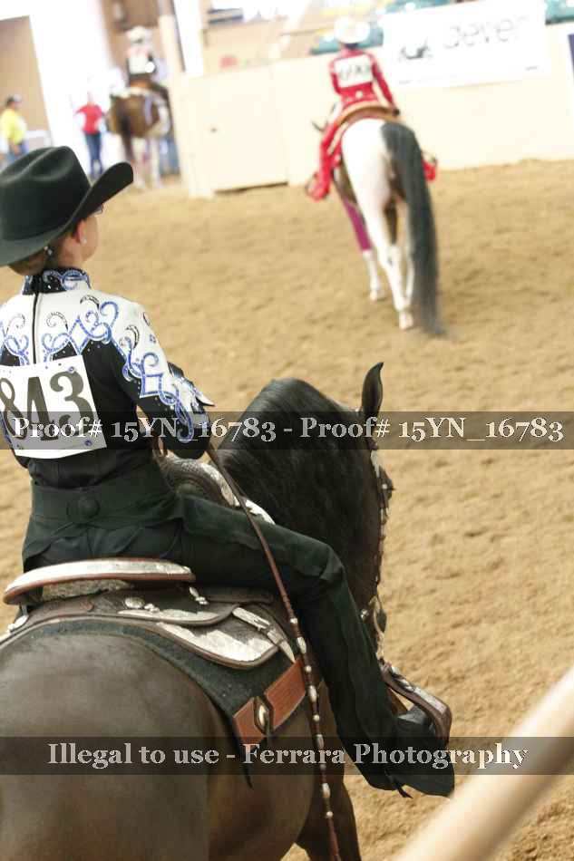 Proof Number 15YN_16783