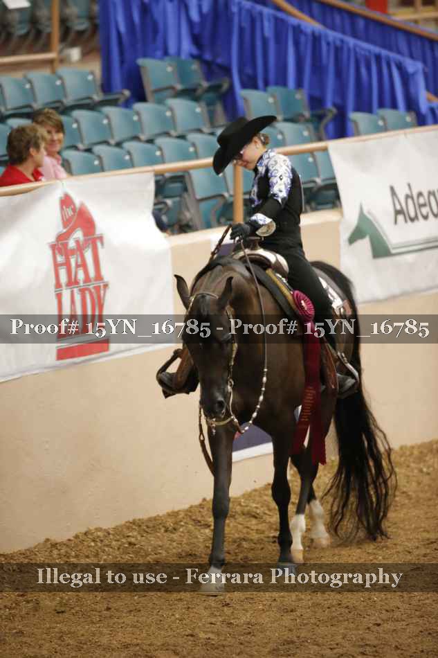 Proof Number 15YN_16785