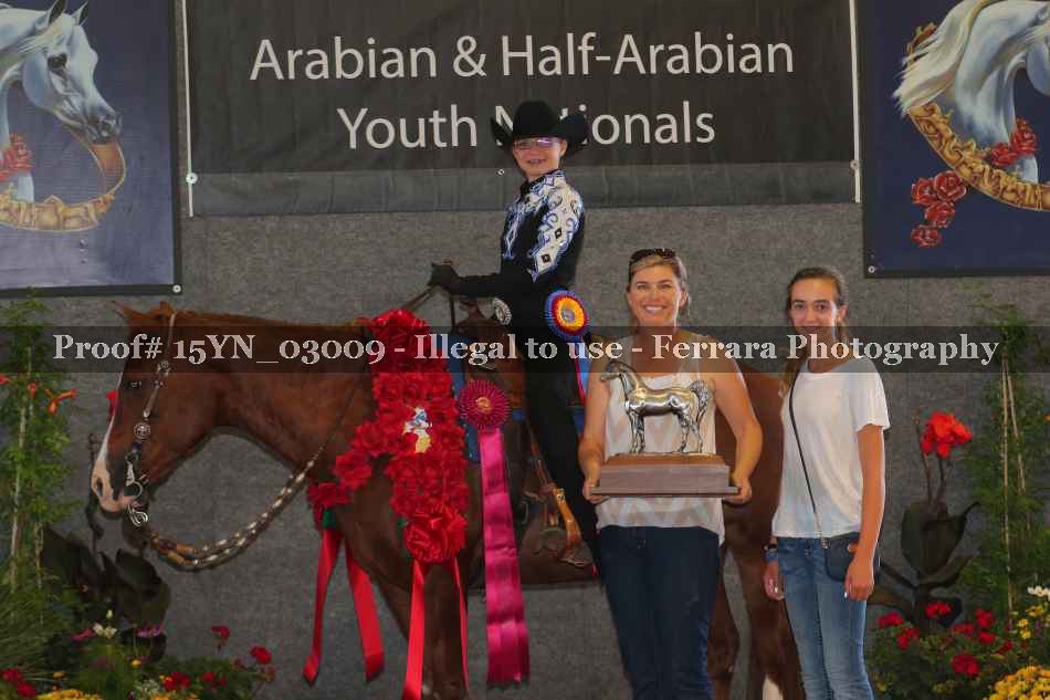 Proof Number 15YN_03009