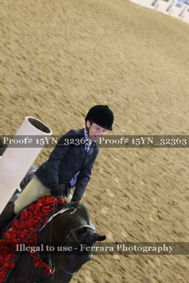 Proof Number 15YN_32363