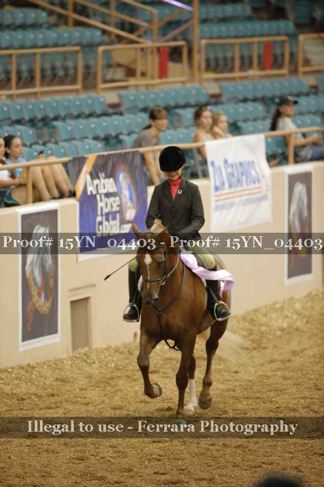 Proof Number 15YN_04403