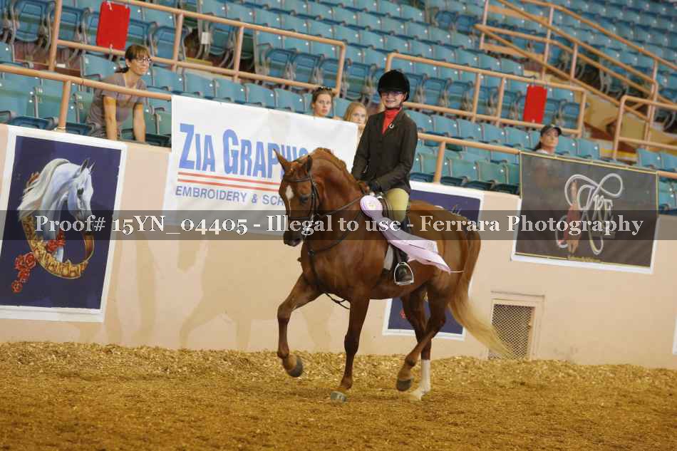 Proof Number 15YN_04405