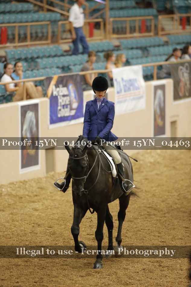 Proof Number 15YN_04463