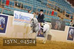 15YN_04524 thumbnail