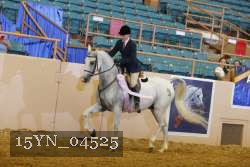 15YN_04525 thumbnail