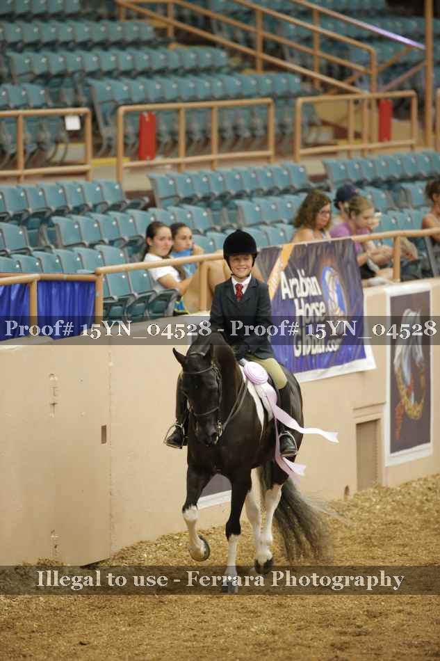 Proof Number 15YN_04528