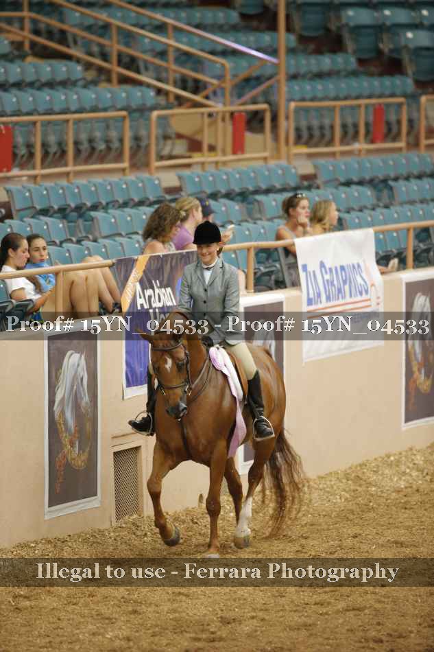 Proof Number 15YN_04533