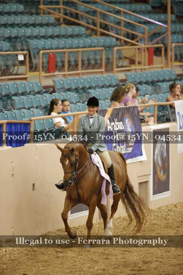 Proof Number 15YN_04534