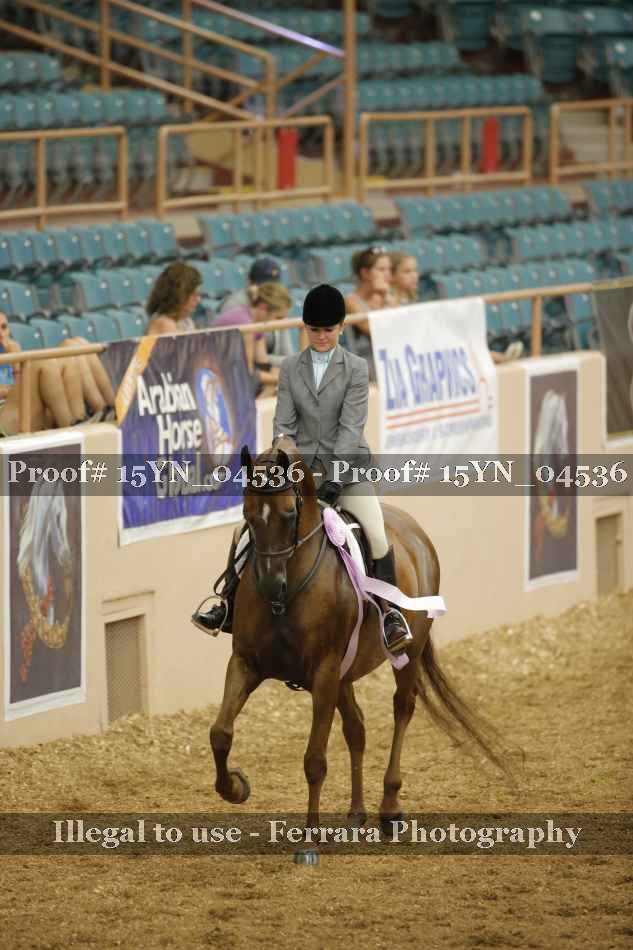 Proof Number 15YN_04536
