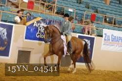 15YN_04541 thumbnail