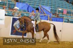 15YN_04543 thumbnail