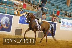 15YN_04544 thumbnail
