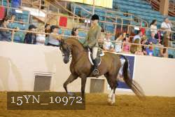 15YN_10972 thumbnail