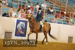 15YN_10973 thumbnail