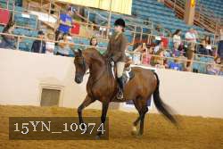15YN_10974 thumbnail