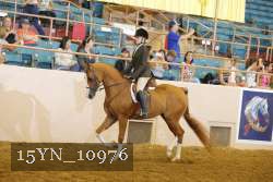 15YN_10976 thumbnail