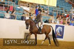 15YN_10977 thumbnail