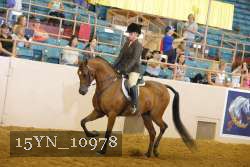 15YN_10978 thumbnail