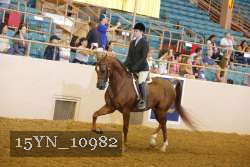 15YN_10982 thumbnail