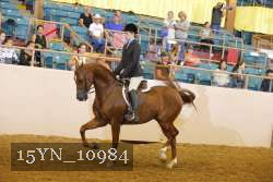 15YN_10984 thumbnail
