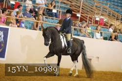 15YN_10989 thumbnail