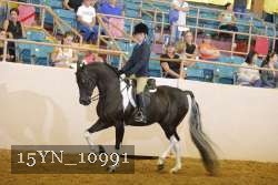 15YN_10991 thumbnail