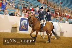 15YN_10992 thumbnail
