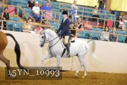 15YN_10993 thumbnail