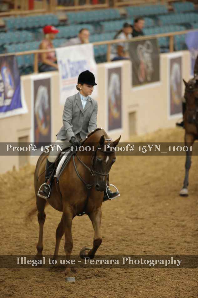 Proof Number 15YN_11001