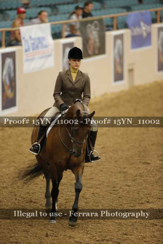 Proof Number 15YN_11002