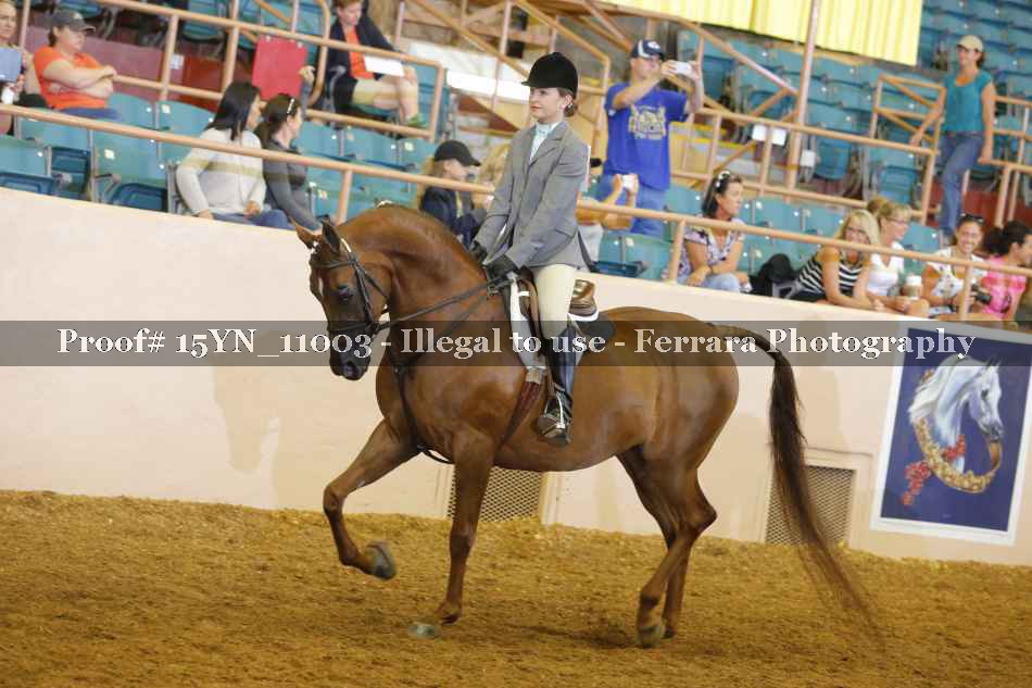 Proof Number 15YN_11003