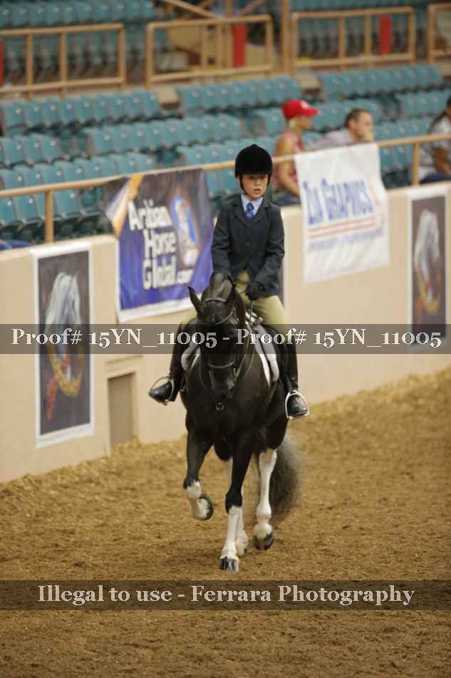Proof Number 15YN_11005