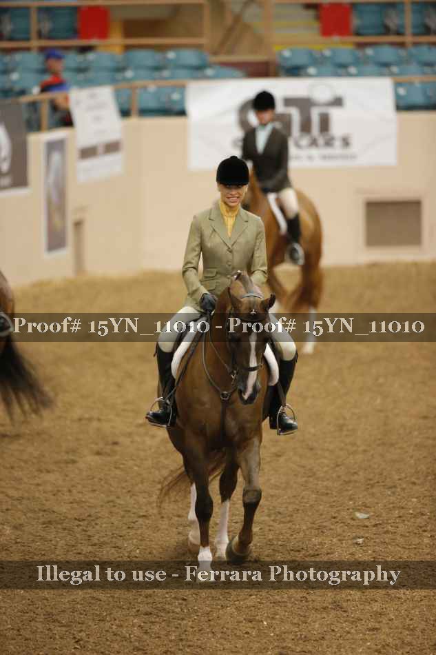 Proof Number 15YN_11010