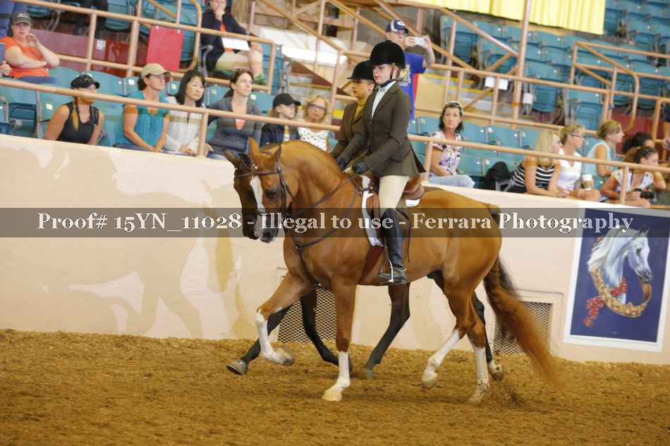 Proof Number 15YN_11028