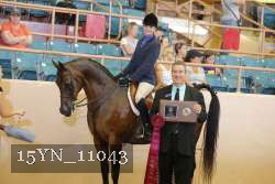 15YN_11043 thumbnail