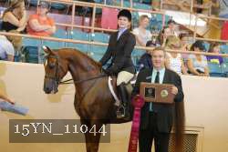 15YN_11044 thumbnail