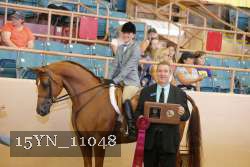 15YN_11048 thumbnail