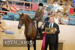 15YN_11051 thumbnail
