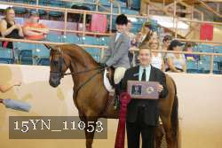 15YN_11053 thumbnail