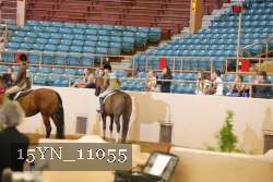 15YN_11055 thumbnail