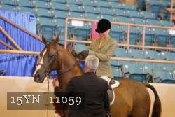 15YN_11059 thumbnail