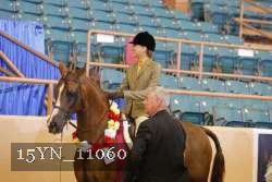 15YN_11060 thumbnail