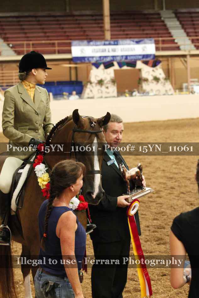 Proof Number 15YN_11061