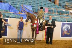 15YN_11062 thumbnail