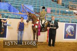 15YN_11063 thumbnail