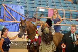 15YN_11071 thumbnail