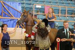 15YN_11072 thumbnail