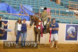 15YN_11075 thumbnail