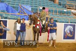 15YN_11076 thumbnail